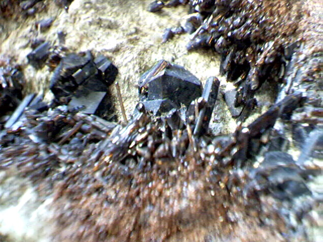 1cm Cerian Vesuvianite Crystals!